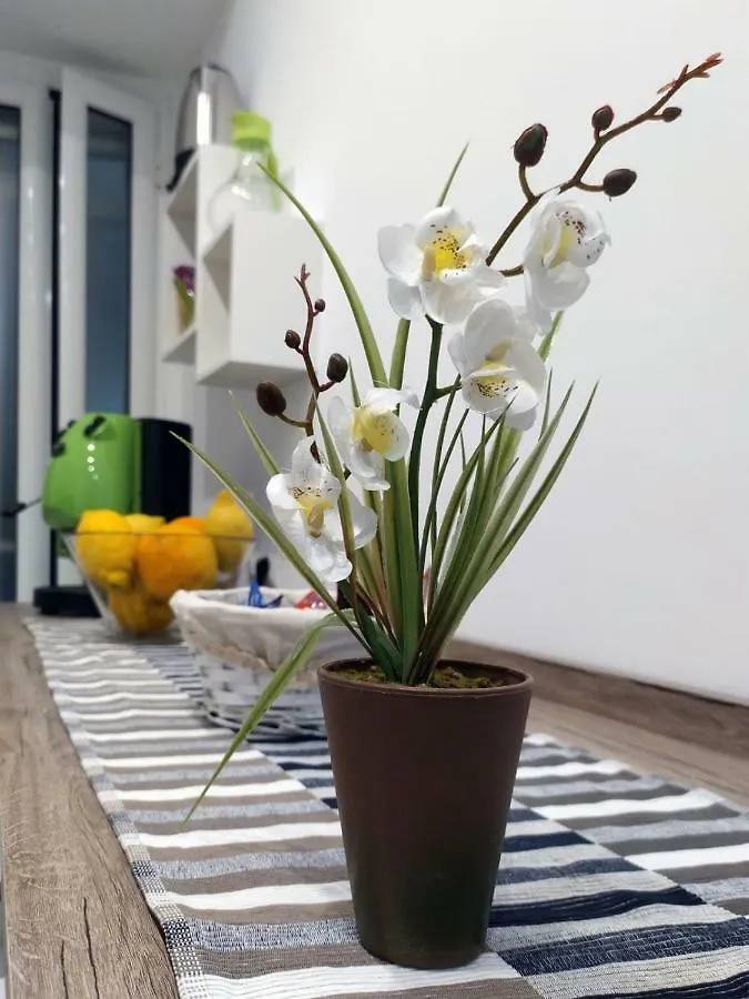 펜션 La Casa Di Noa Napoli In The Heart Of Vomero 이탈리아